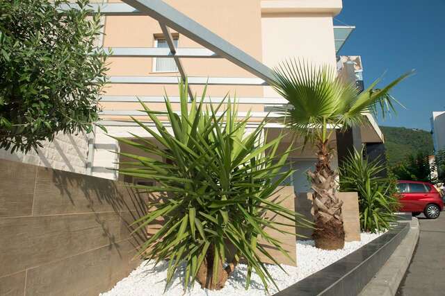 Гостевой дом Guest House Vila Centar Будва-5